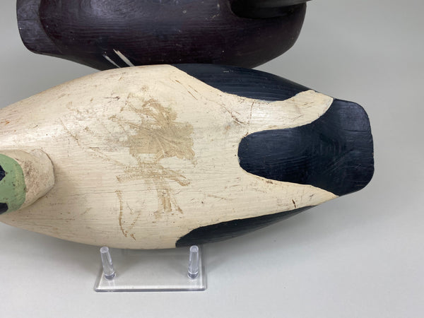 Pair of Archie Levy Eiders (#7421)