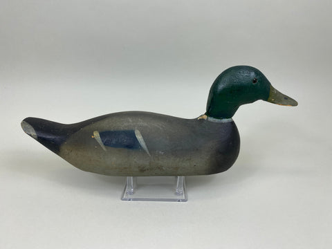 Pratt mallard Drake, Original Never Rigged (#7423)
