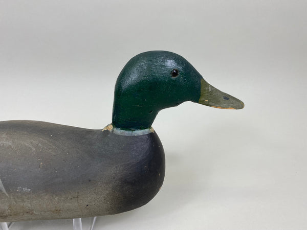 Pratt mallard Drake, Original Never Rigged (#7423)
