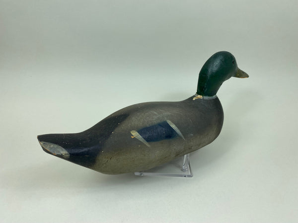 Pratt mallard Drake, Original Never Rigged (#7423)
