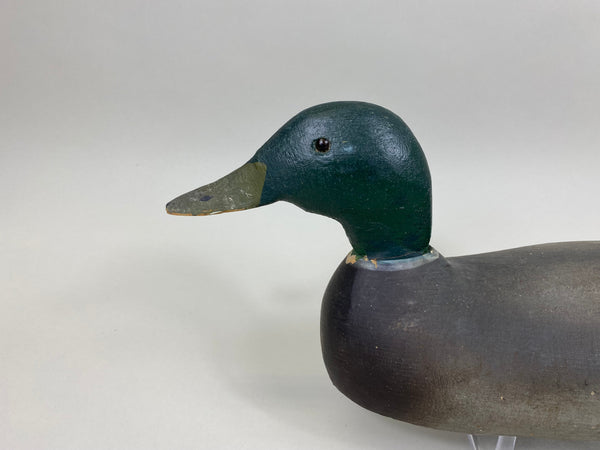 Pratt mallard Drake, Original Never Rigged (#7423)