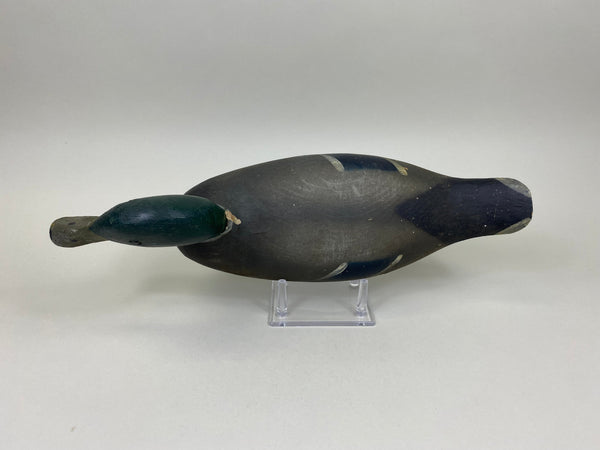 Pratt mallard Drake, Original Never Rigged (#7423)