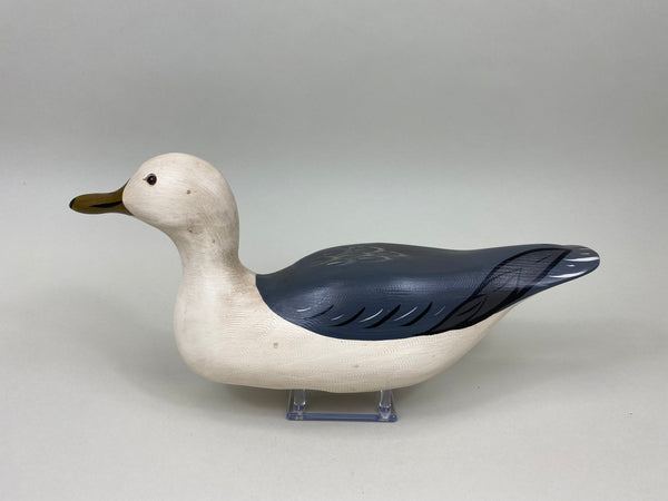 Charlie Moore Seagull (#7429)