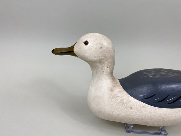 Charlie Moore Seagull (#7429)