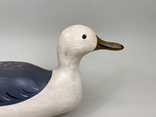 Charlie Moore Seagull (#7429)