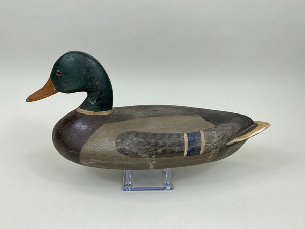 Ken Greenlee Mallard Drake, Burlington Iowa (#7431)