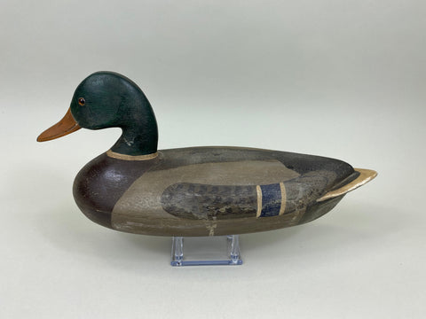 Ken Greenlee Mallard Drake, Burlington Iowa (#7431)