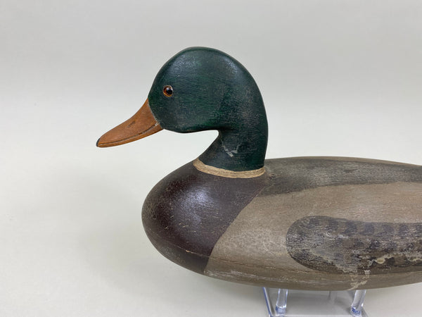 Ken Greenlee Mallard Drake, Burlington Iowa (#7431)