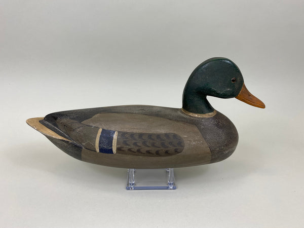 Ken Greenlee Mallard Drake, Burlington Iowa (#7431)