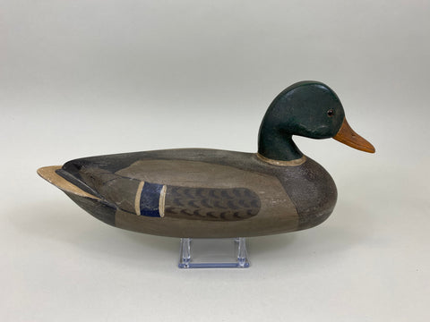 Ken Greenlee Mallard Drake, Burlington Iowa (#7431)