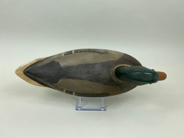 Ken Greenlee Mallard Drake, Burlington Iowa (#7431)