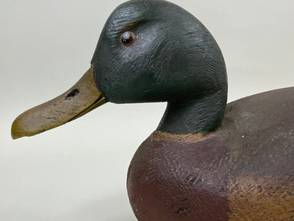 Ralph Malpage Mallard Drake (#7439)