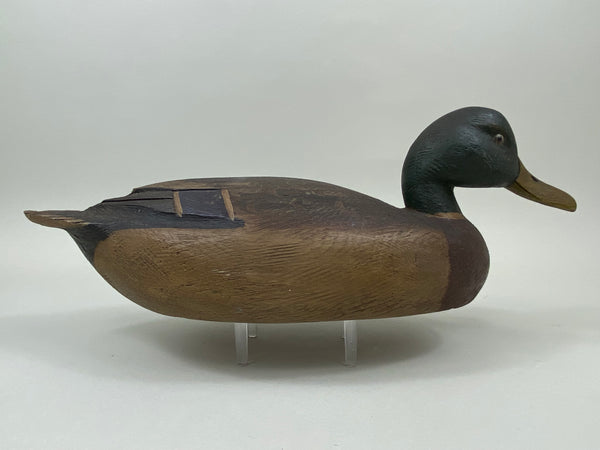Ralph Malpage Mallard Drake (#7439)