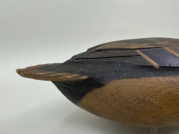 Ralph Malpage Mallard Drake (#7439)