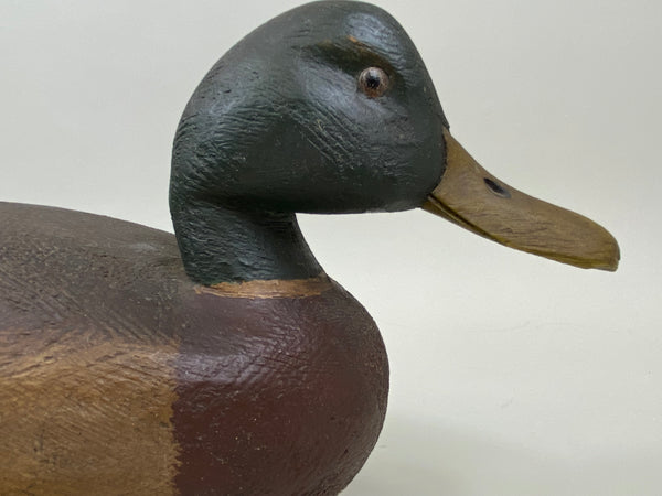 Ralph Malpage Mallard Drake (#7439)