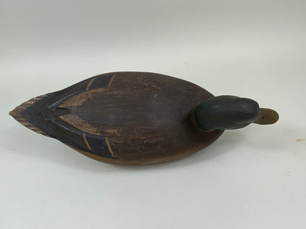 Ralph Malpage Mallard Drake (#7439)