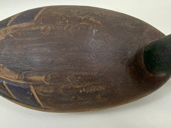 Ralph Malpage Mallard Drake (#7439)