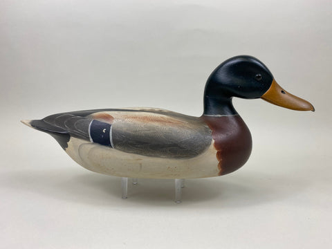 Robert Weeks Full Size Mallard Drake (#7456)