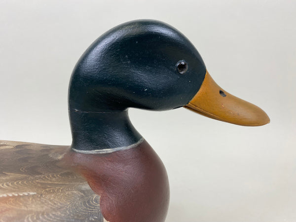 Robert Weeks Full Size Mallard Drake (#7456)