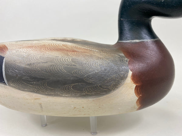 Robert Weeks Full Size Mallard Drake (#7456)