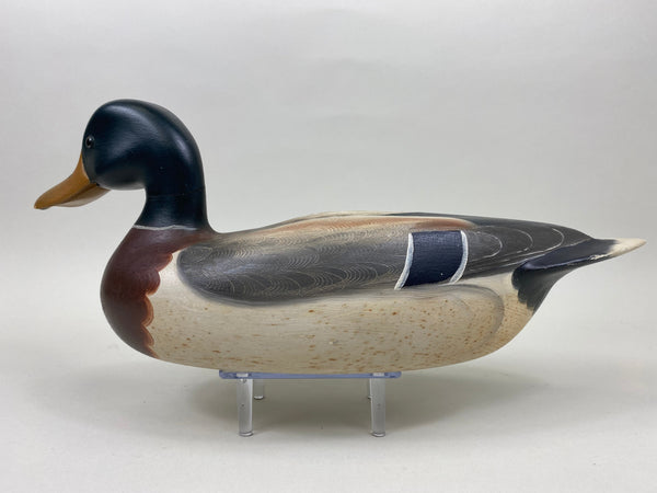 Robert Weeks Full Size Mallard Drake (#7456)