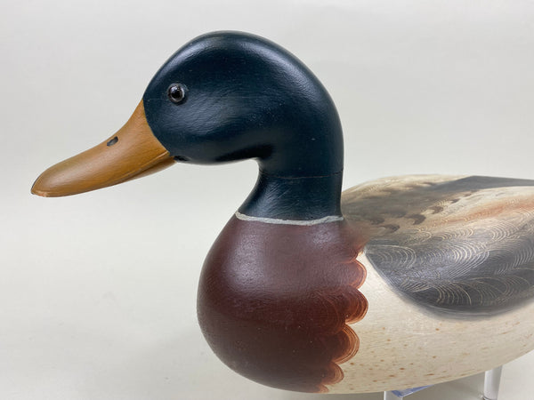 Robert Weeks Full Size Mallard Drake (#7456)
