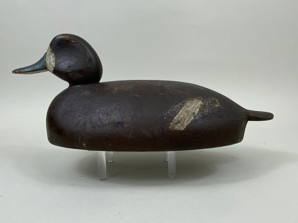 Clifford Brown Bluebill Hen, St. Clair Flats, Circa 1920's (#7458)