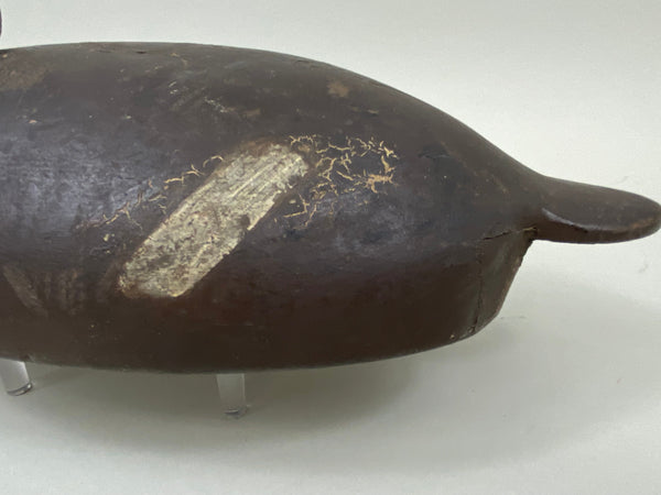 Clifford Brown Bluebill Hen, St. Clair Flats, Circa 1920's (#7458)