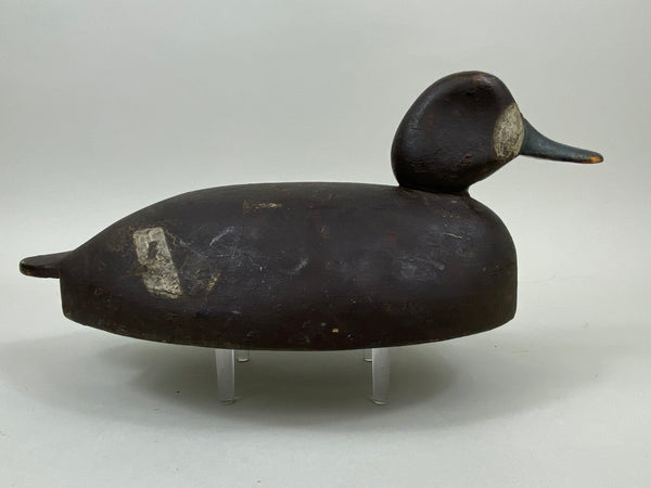 Clifford Brown Bluebill Hen, St. Clair Flats, Circa 1920's (#7458)