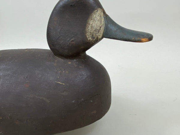 Clifford Brown Bluebill Hen, St. Clair Flats, Circa 1920's (#7458)