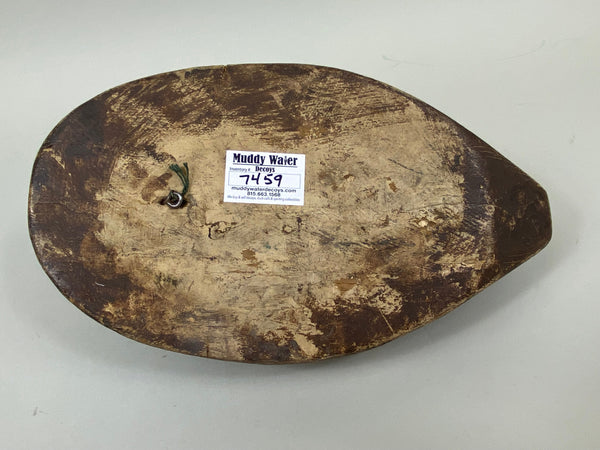 Preening Wisconsin Bluebill Hen, Circa 1930's (#7459)