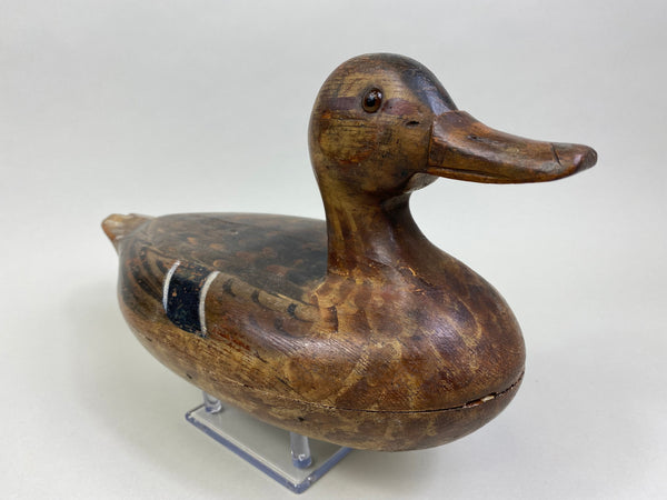 Ed Shurts Mallard Hen, Circa 1930's (#7464)