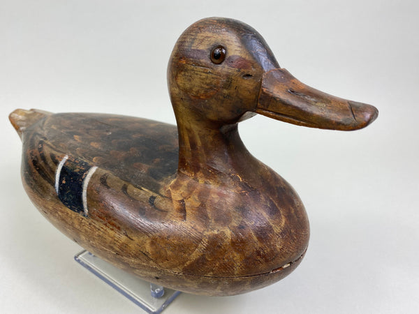 Ed Shurts Mallard Hen, Circa 1930's (#7464)