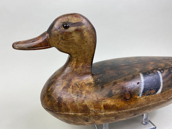 Ed Shurts Mallard Hen, Circa 1930's (#7464)