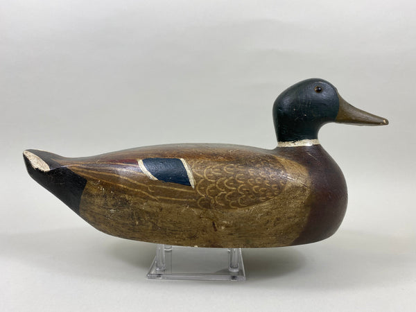 Carl Koch Mallard Drake (#7465)