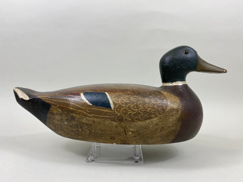Carl Koch Mallard Drake (#7465)