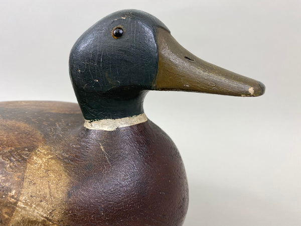Carl Koch Mallard Drake (#7465)