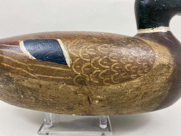 Carl Koch Mallard Drake (#7465)