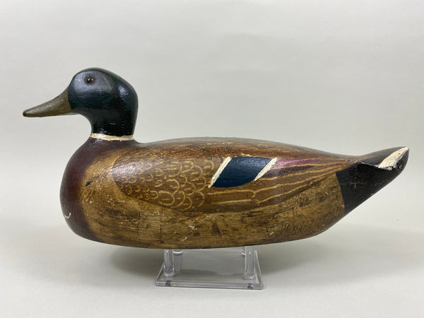 Carl Koch Mallard Drake (#7465)