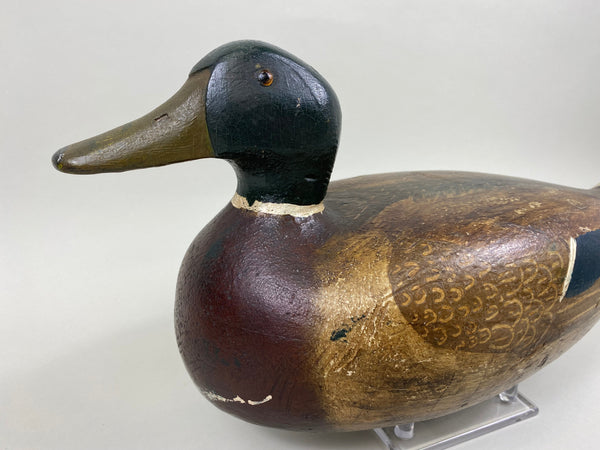 Carl Koch Mallard Drake (#7465)