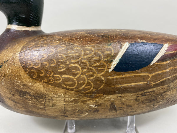 Carl Koch Mallard Drake (#7465)