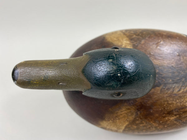 Carl Koch Mallard Drake (#7465)