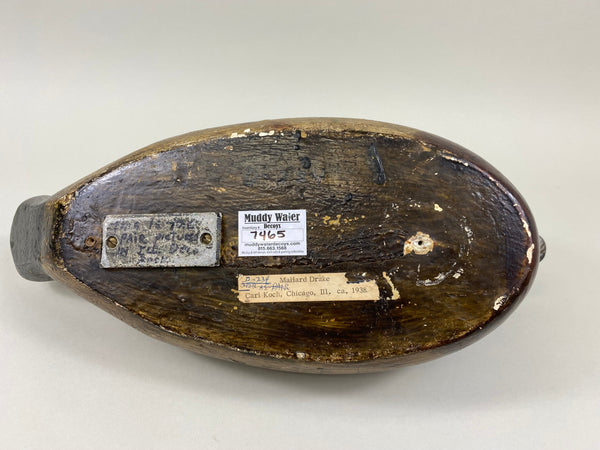 Carl Koch Mallard Drake (#7465)