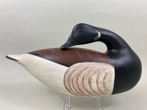 Anthony Hillman Preening Brant, all Original (#7467)