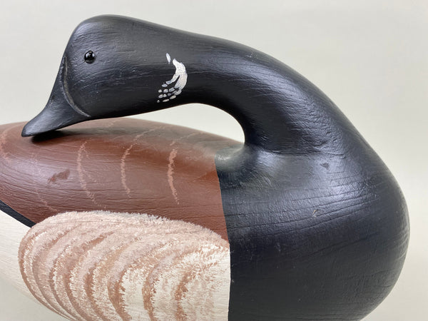 Anthony Hillman Preening Brant, all Original (#7467)