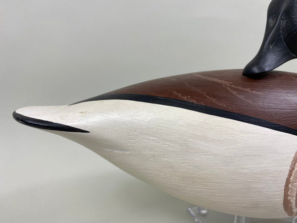 Anthony Hillman Preening Brant, all Original (#7467)