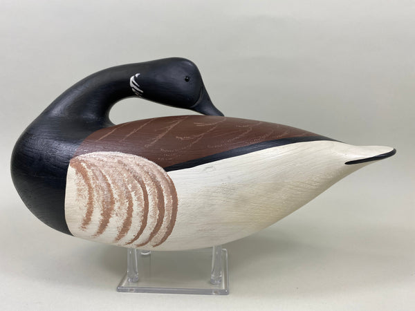 Anthony Hillman Preening Brant, all Original (#7467)