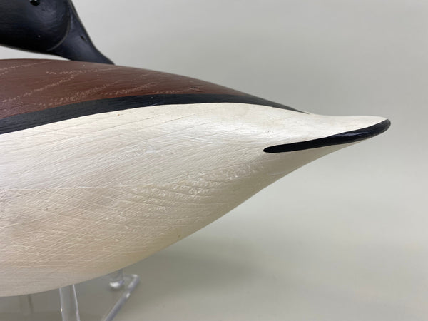 Anthony Hillman Preening Brant, all Original (#7467)