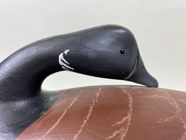 Anthony Hillman Preening Brant, all Original (#7467)