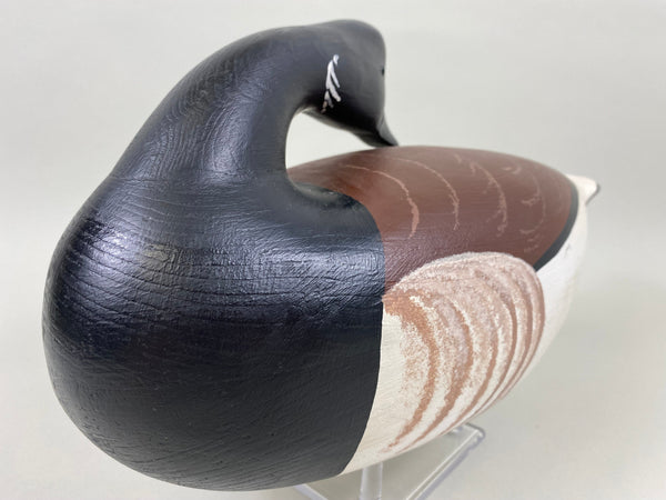 Anthony Hillman Preening Brant, all Original (#7467)